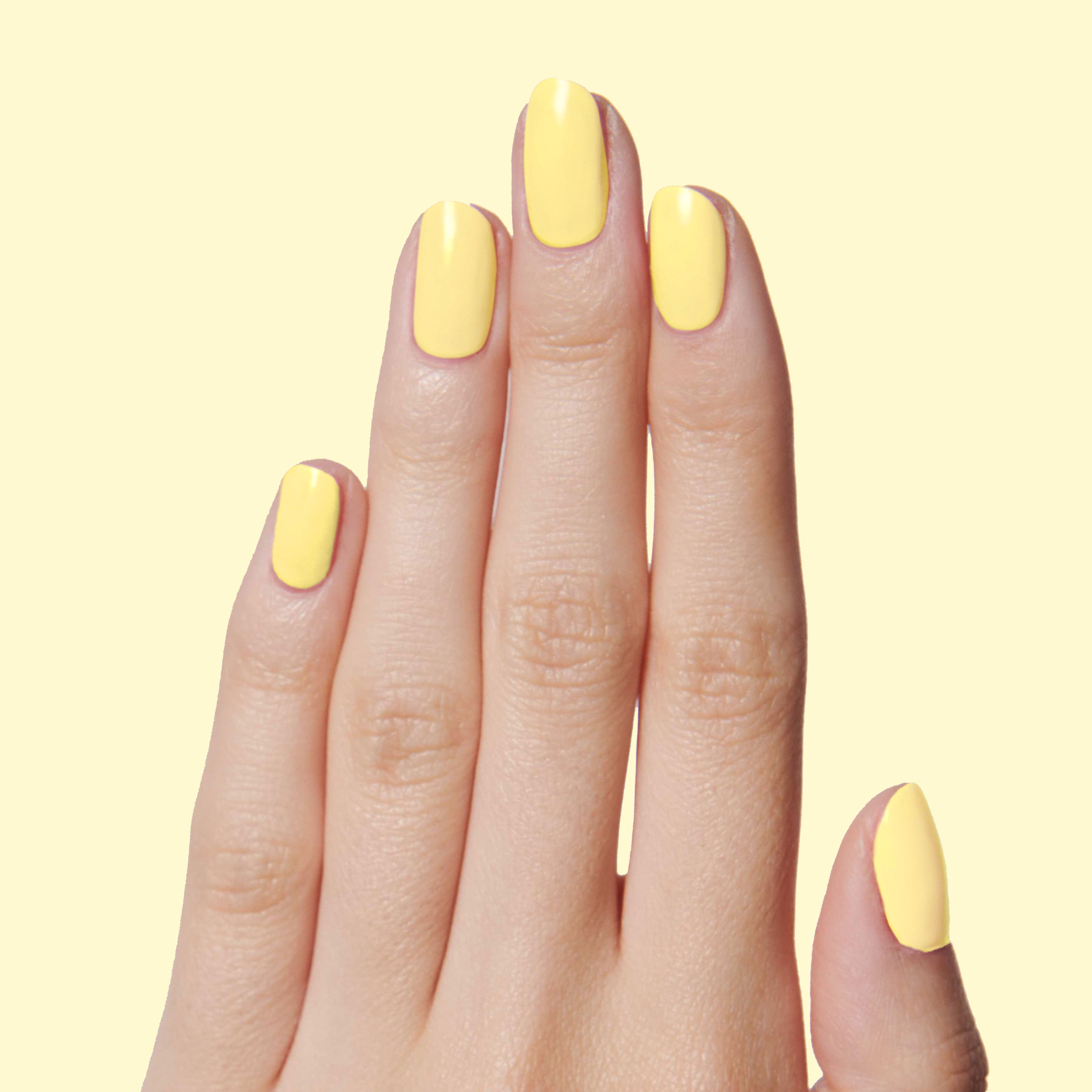 Bright & Focused - Image 4