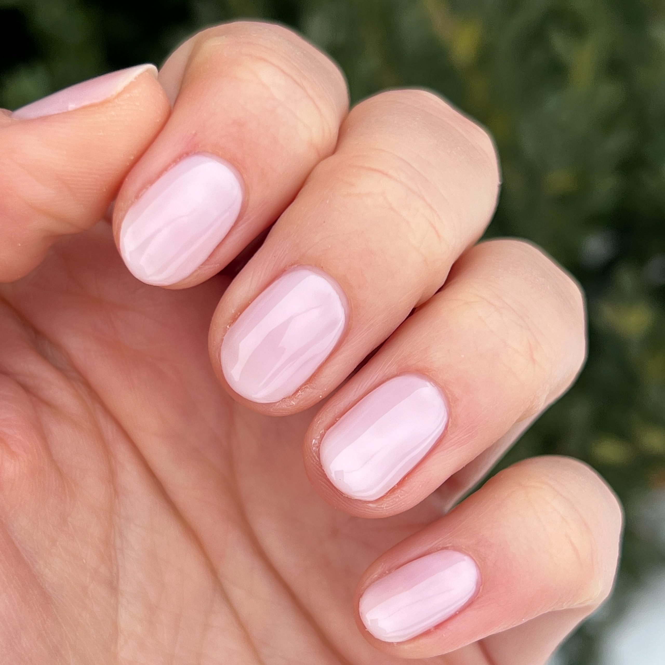 Strawberry Scone - Image 8