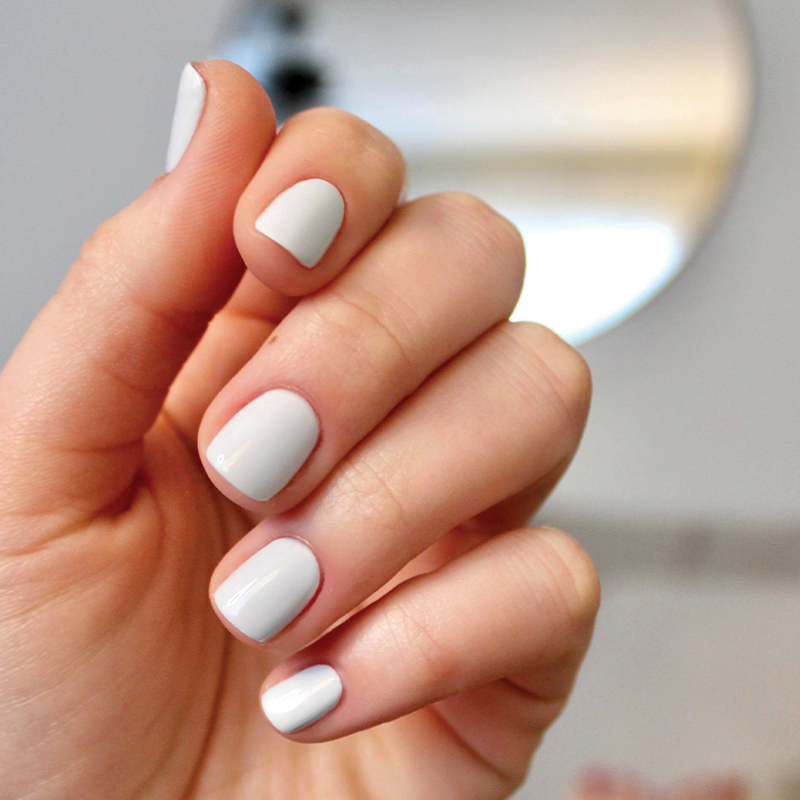 Angelfish - Image 16