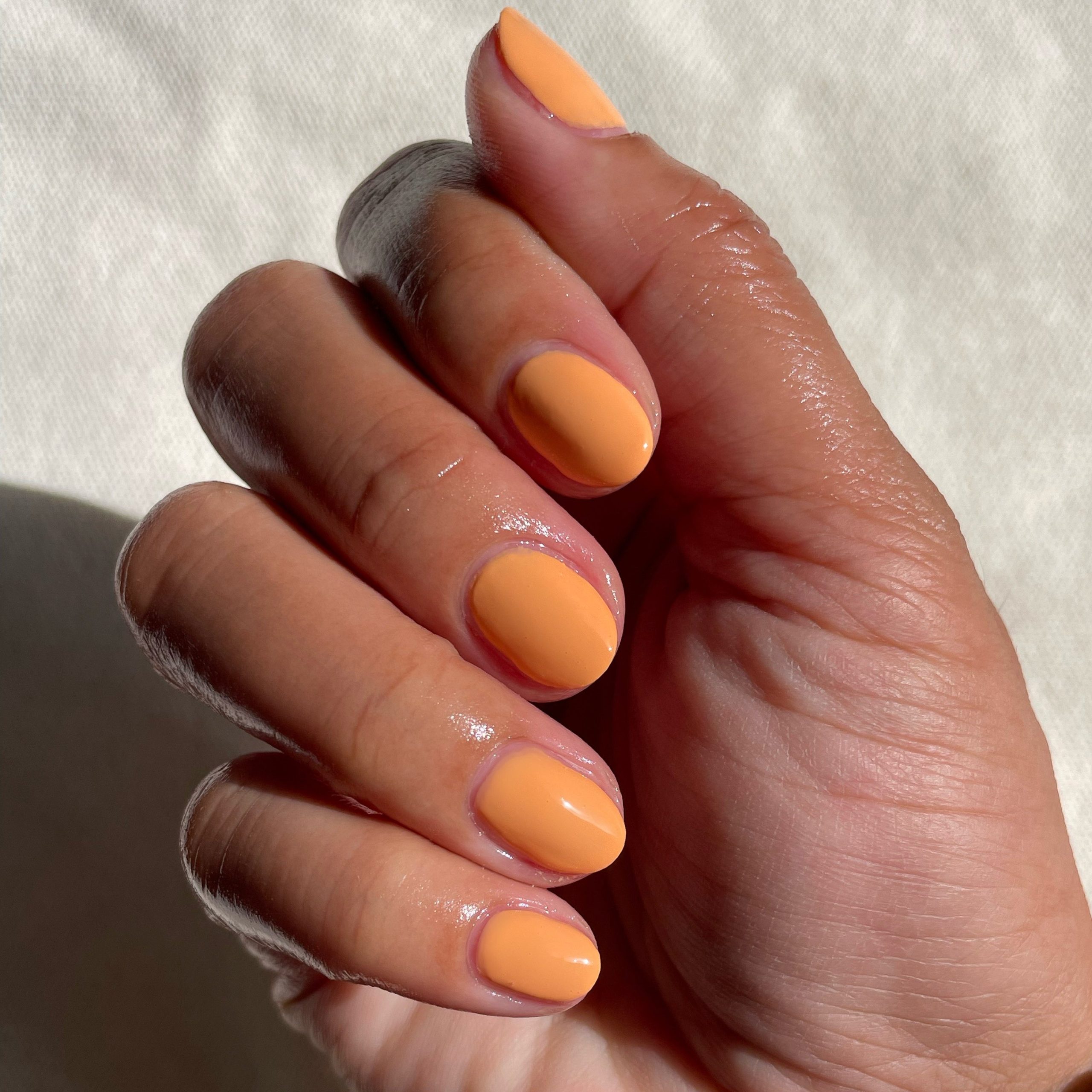 Counselor In Training - Image 10