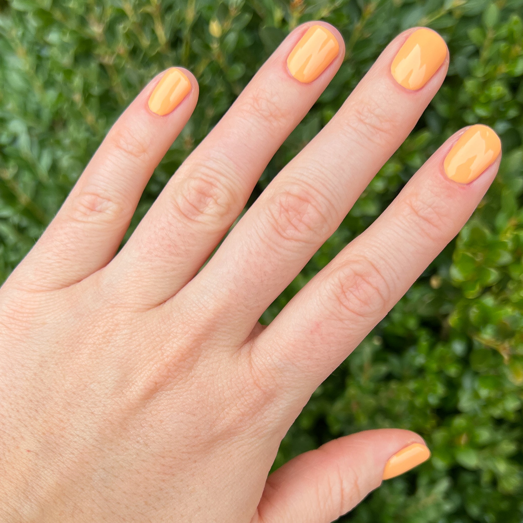 Counselor In Training - Image 11