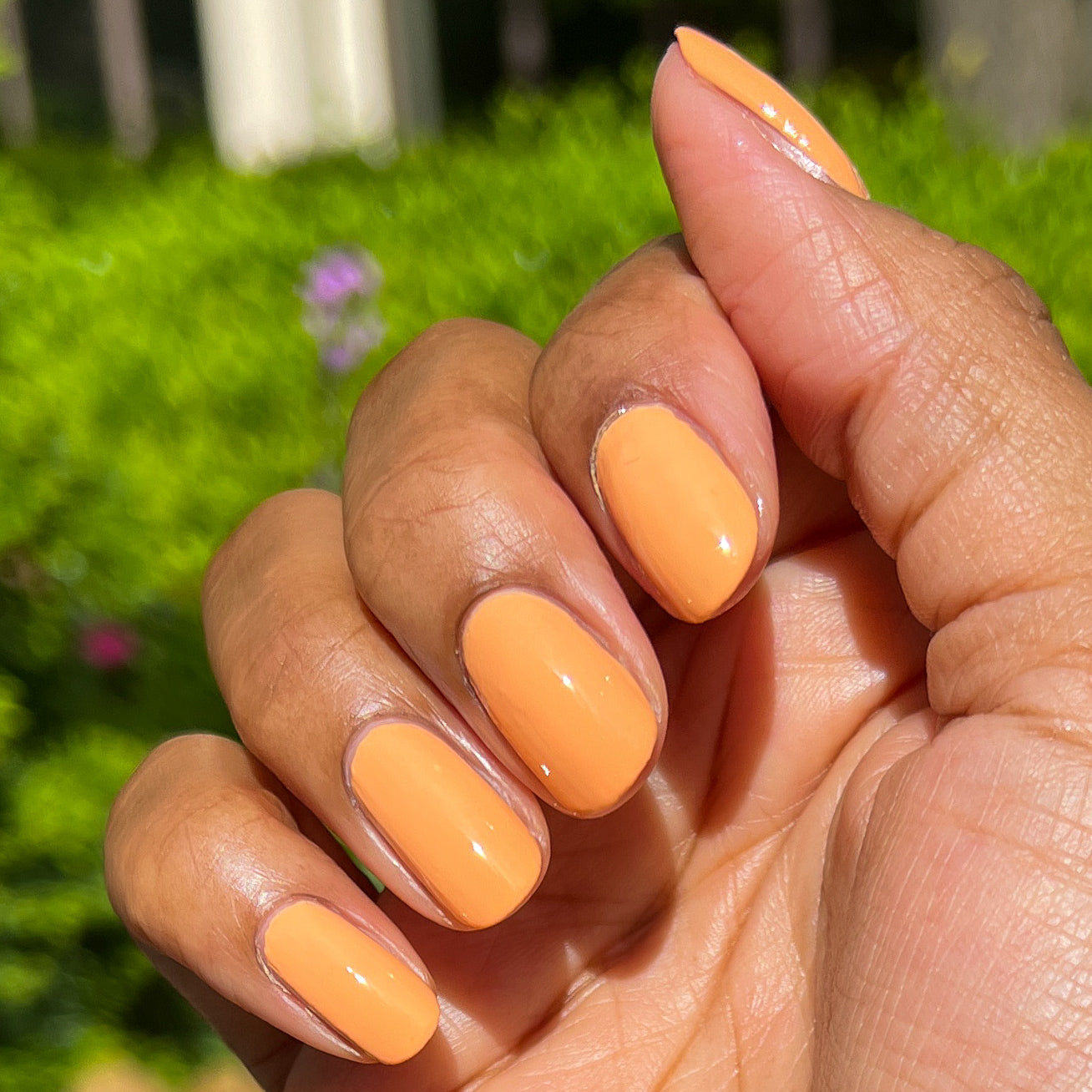 Counselor In Training - Image 12