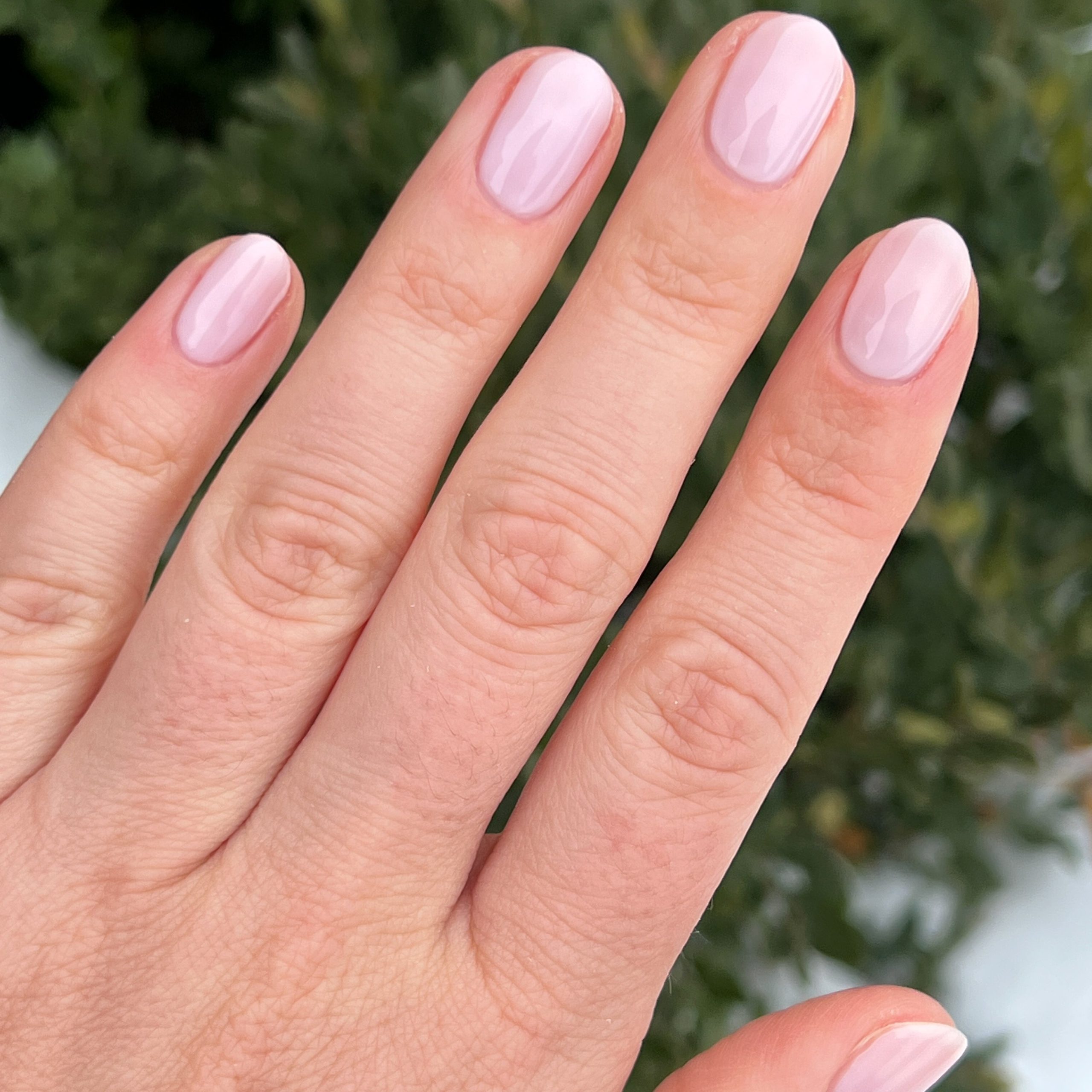 Strawberry Scone - Image 10