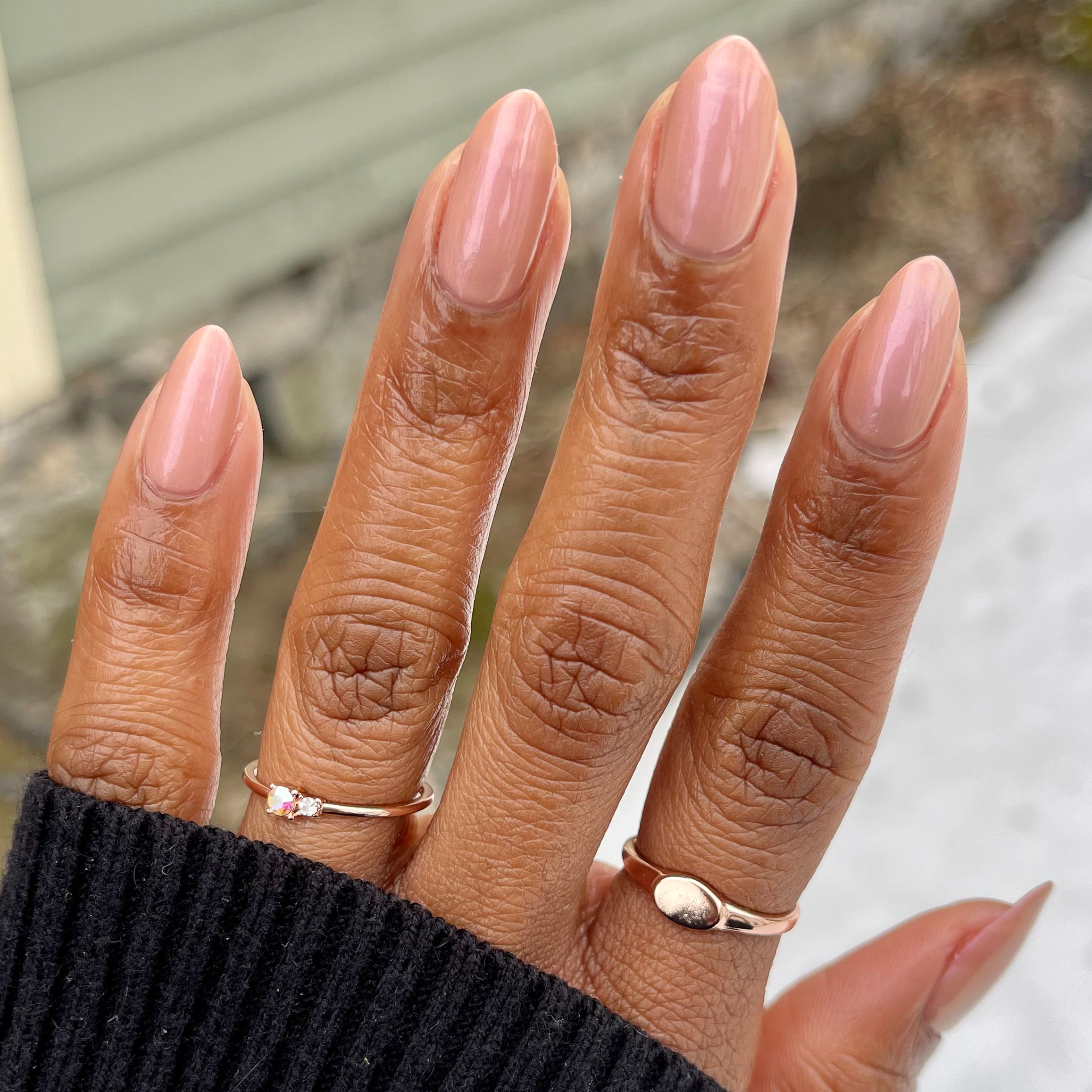 Sandy Scallop - Image 12