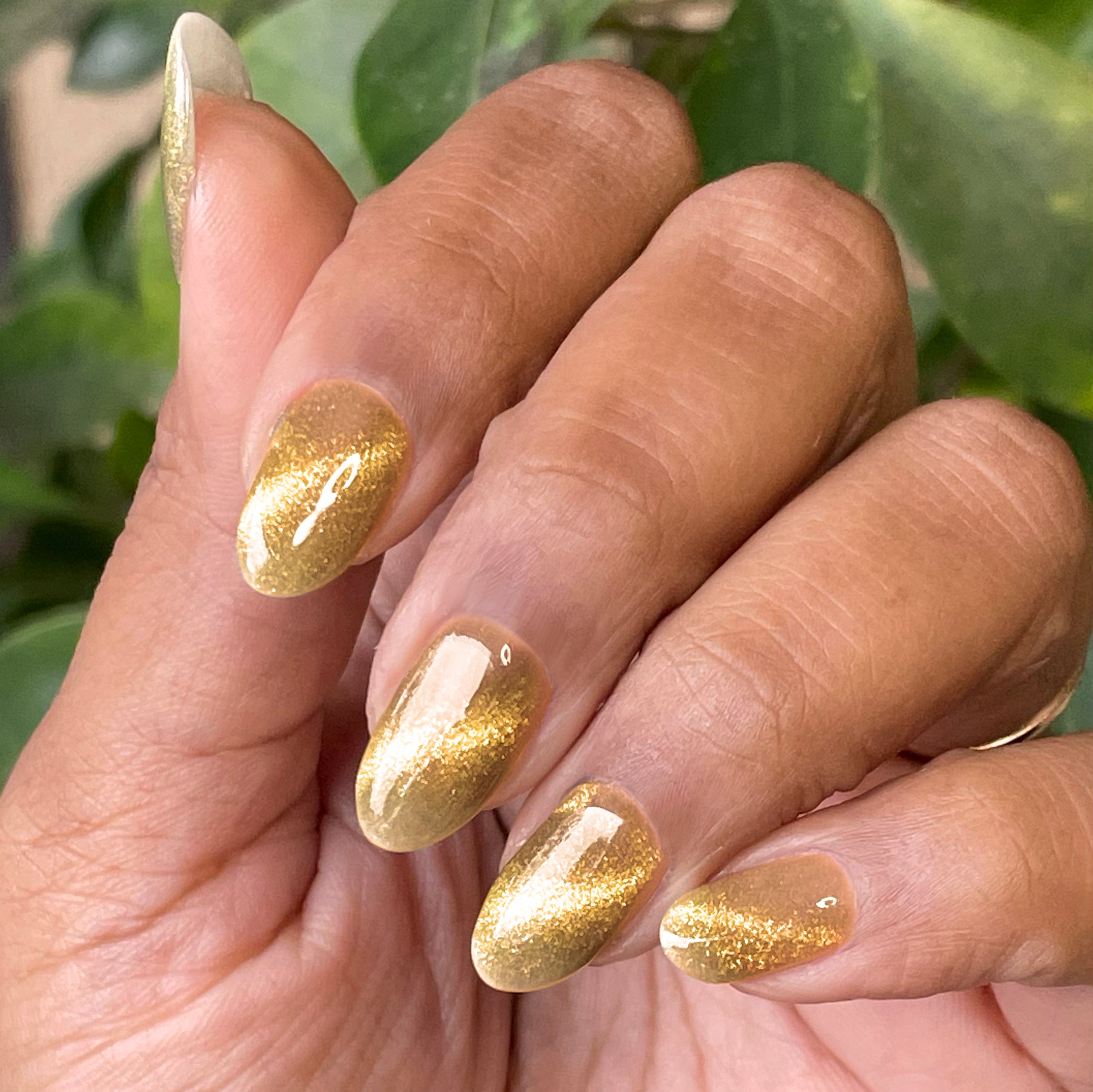 Golden Velvet - Gel - Image 6