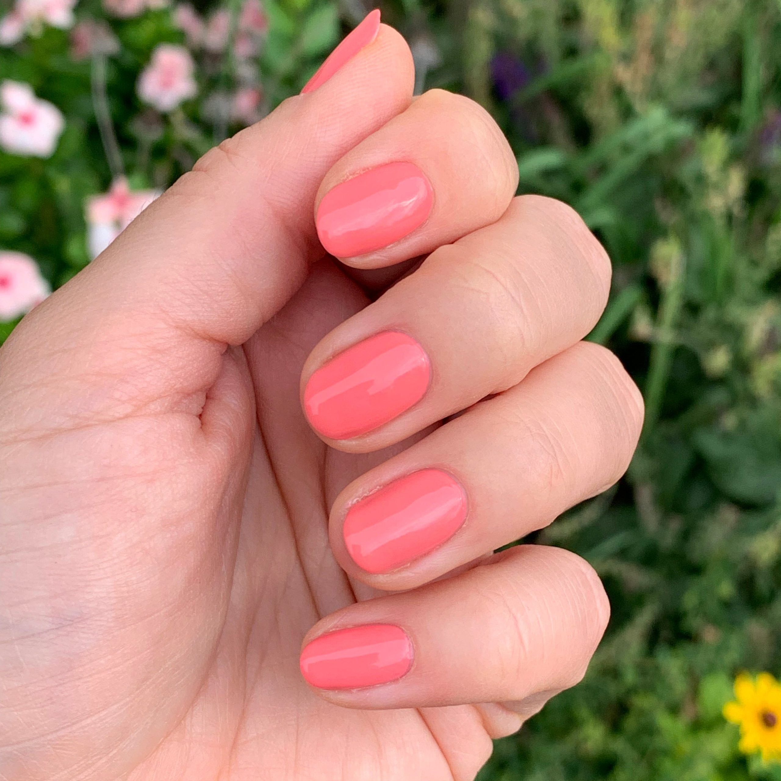 Stinson Sunset - Image 10