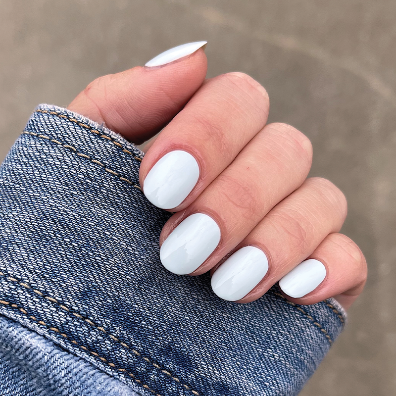 Angelfish - Image 10