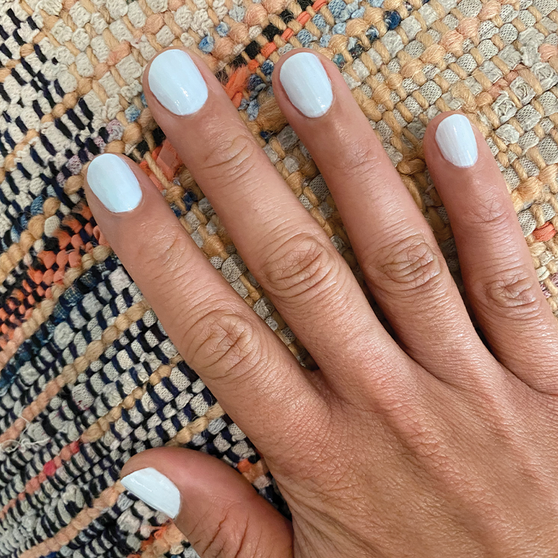 Angelfish - Image 12