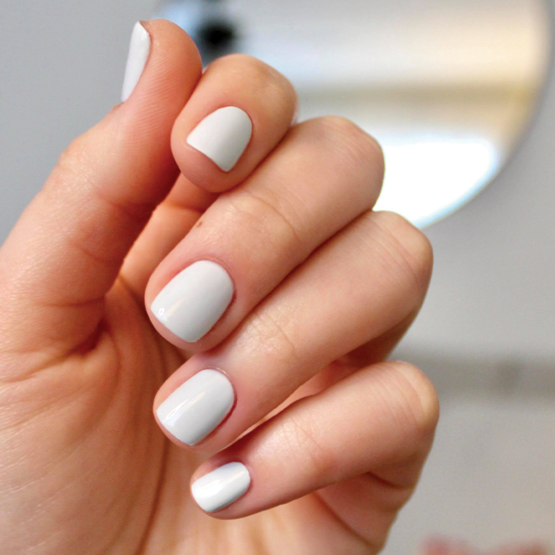 Angelfish - Image 13