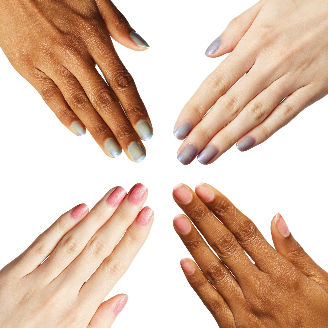 Electric Eels Collection - Image 3